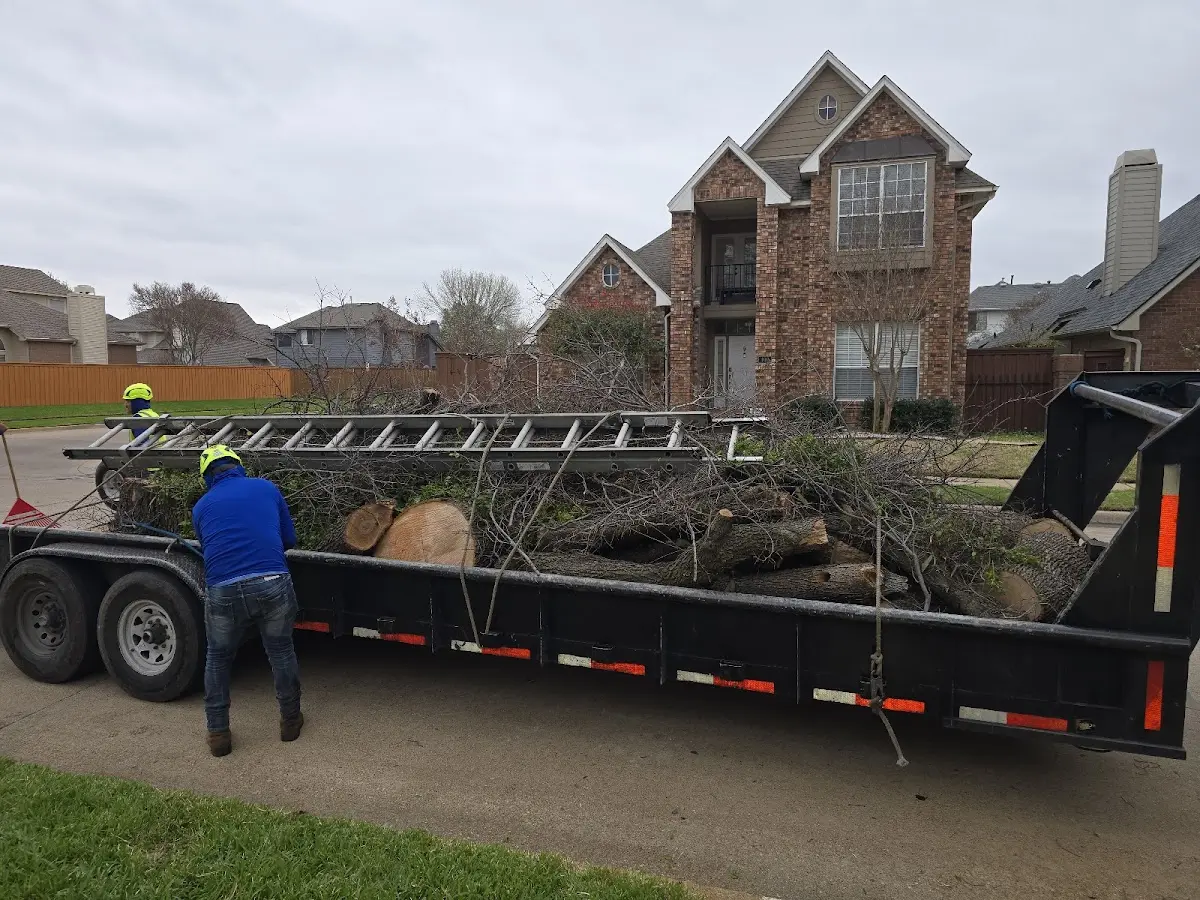 Expert Tree Fertilization with proper safety equipment in Zap